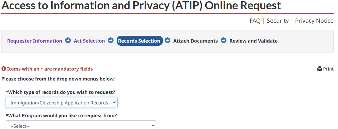 Records Selection stage with the record type chosen and the program dropdown revealed