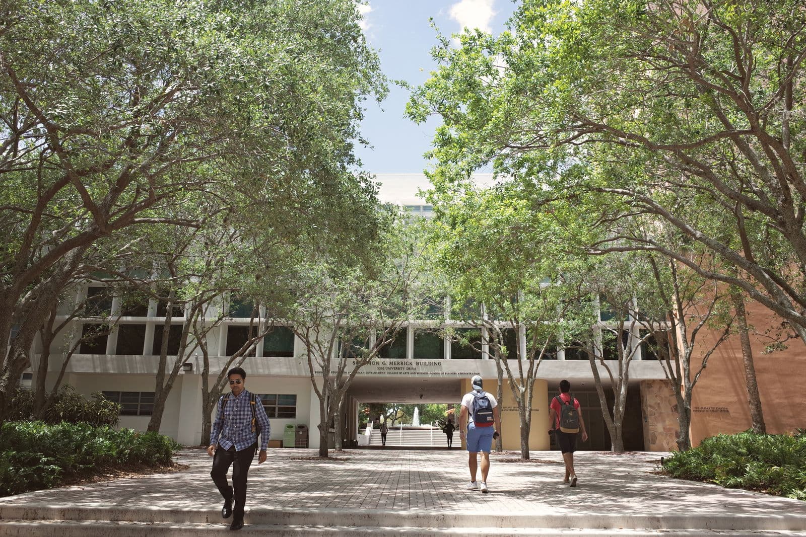 Students walking through a university campus